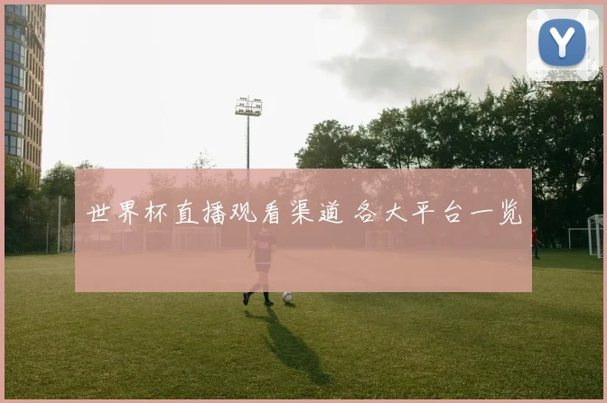 世界杯直播观看渠道 各大平台一览