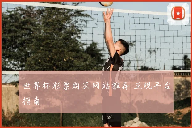世界杯彩票购买网站推荐 正规平台指南